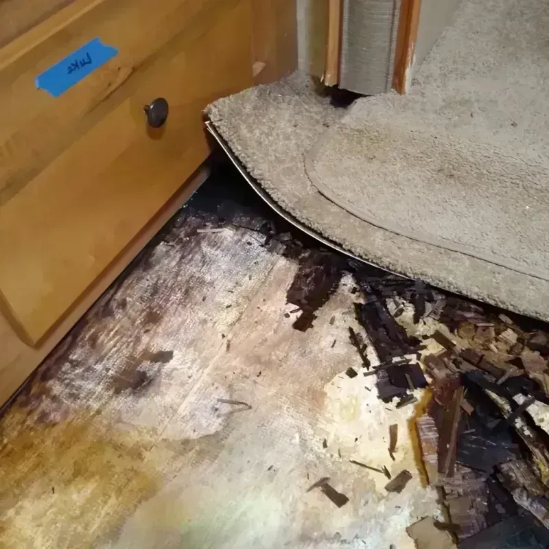 Wood Floor Water Damage in Feasterville, PA